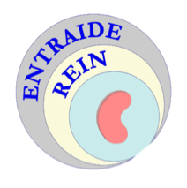 logo d'entraide rein