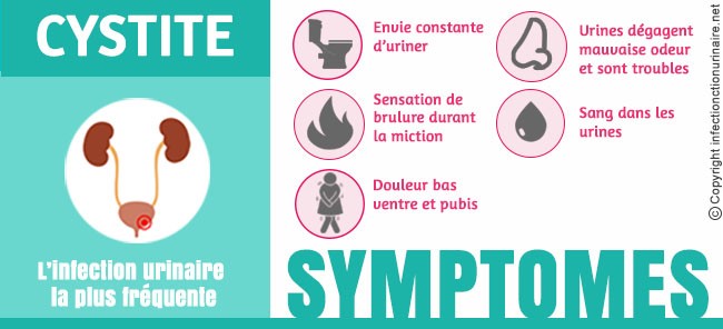 Schéma de la cystite avec 3 symboles des symptômes