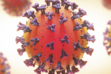 image du coronavirus 19