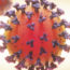 image du coronavirus 19