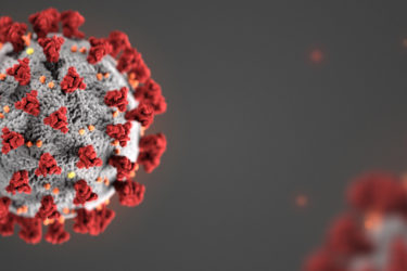 image de 2 coronavirus