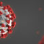 image de 2 coronavirus